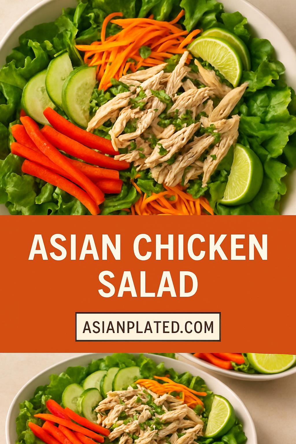 Asian Chicken Salad