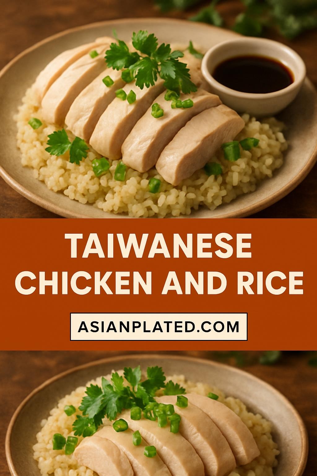 Taiwanese Chicken and Rice