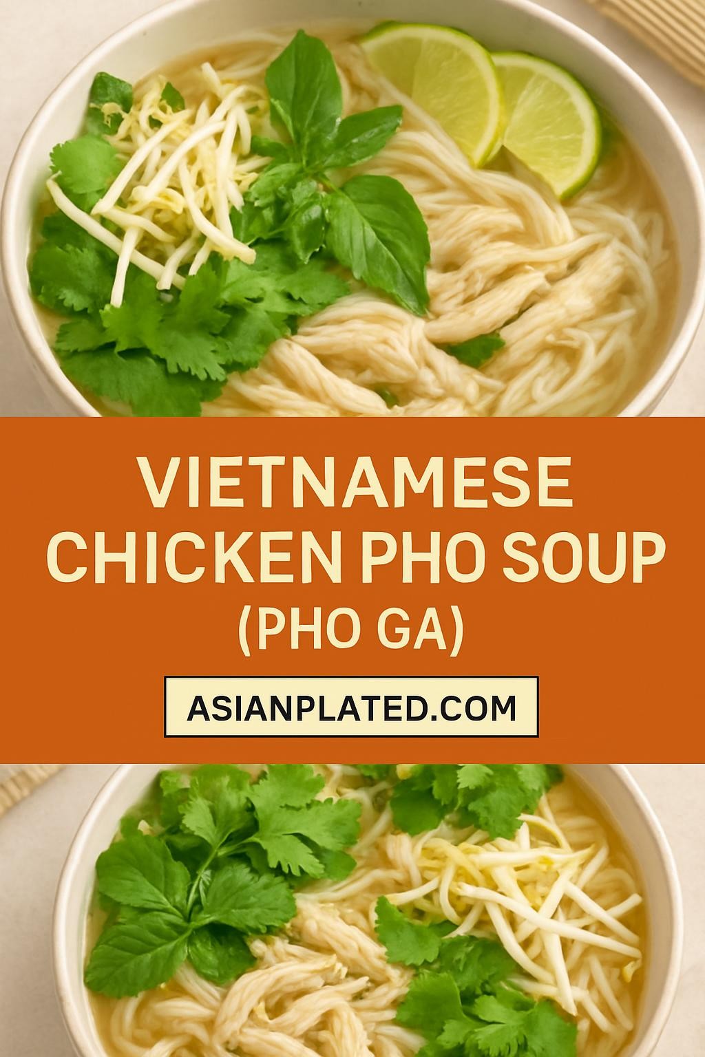 Vietnamese Chicken Pho soup (Pho Ga)