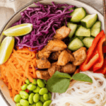 Asian Noodle Bowls