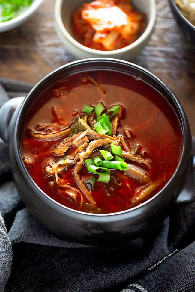 BEST Yukgaejang (Korean Spicy Beef Soup)